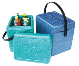 EPP保溫箱/手拎方便/冷藏保溫/車(chē)載箱/20L